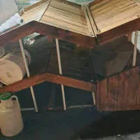 دو عدد طبق مخصوص میوه دوطبقه بدنه اهن|فعالیت داوطلبانه|رشت, فرزانه|دیوار