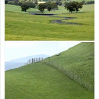 زمین-باغی-زراعی