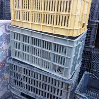 سبد|ظروف نگهدارنده، پلاستیکی، یک‌بارمصرف|مشهد, خواجه ربیع|دیوار
