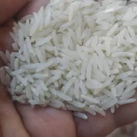 برنج فجر سوزنی ایرانی|خوردنی و آشامیدنی|پاکدشت, پاکدشت (مامازند)|دیوار