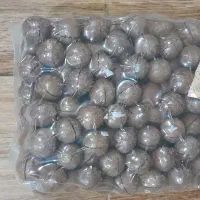 فندق ماکادمیا