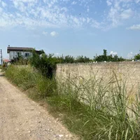 باغچه ۳۰۰ متری بر آسفالت / انشعابات پای ملک