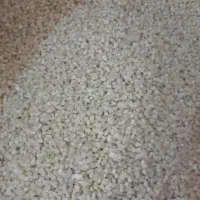 نیم دانه   و برنج شمشیری|خوردنی و آشامیدنی|ایلام, |دیوار