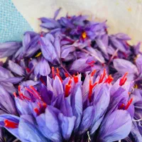 استخدام نیروی پاک گر گل زعفران