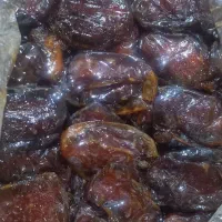 فروش خرما خشت دو کیلویی