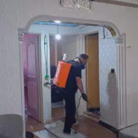سمپاشی حشرات.موش.ساس.کک بامجوزبهداشت و100درصدتضمین