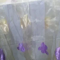 چوب پرده و پرده|پرده، رانر، رومیزی|گنبد کاووس, |دیوار