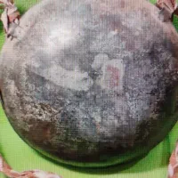 قمقمه قدیمی نظامی کلکسیونی