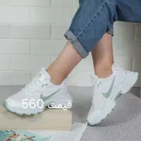 انواع کفش|کیف، کفش، کمربند|دوگنبدان, |دیوار