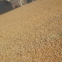 پرس علوفه داری(ارزن)