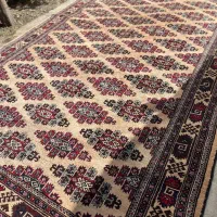 فرش ترکمنی|فرش|بندر ترکمن, |دیوار