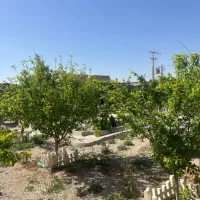 رهن واجاره اصطبل ۳۰۰ اجاره۲۰