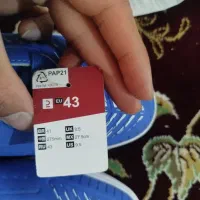 کتونی سالن|کیف، کفش، کمربند|قم, شهدا|دیوار