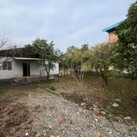 فروش-ویلا-باغ500متری-سند-دار-پر-از-درخت-مرکبات