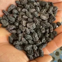 مویز بی هسته