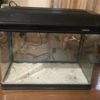 آکواریوم|ماهی|تهران, سوهانک|دیوار