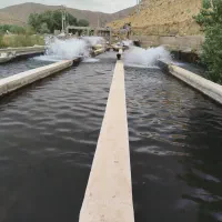 نیروی وارد به کار پرورش ماهی