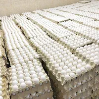 پخش عمده تخم مرغ جانان