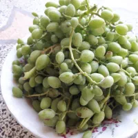 غوره آبگیری(کیفیت‌عالی)