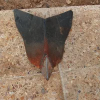 نعر کن تیلر|قطعات یدکی و لوازم جانبی|کرمانشاه, |دیوار