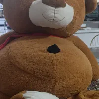 خرس قهوه ای