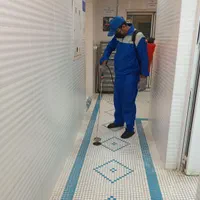 سمپاشی تخصصی وعلمی تضمینی ساس،سوسک،مورچه.کل تهران.|خدمات نظافت|تهران, ازگل|دیوار