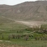 اجاره زمین کشاورزی ۱۲هکتار