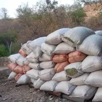 فروش حدود 1 تن یونجه مرغوب و با کیفیت کمردوغ|خدمات باغبانی و درختکاری|چاروسا, |دیوار