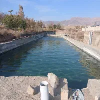 پروش ماهی استخر ماهی باغ ویلایی