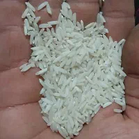 برنج هاشمی امساله مزرعه خودم