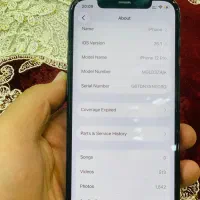 آیفون ۱۲پرو|موبایل|مشهد, چهنو|دیوار