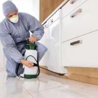 سمپاشی تضمینی سوسک و مورچه و موش