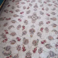 فرش 1200شانه|فرش|رشت, جماران|دیوار