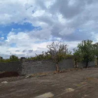 فروش باغ ۷۰۰ متری|فروش زمین و ملک کلنگی|فردوس (خراسان), |دیوار