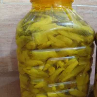 ترشی بیلهر