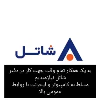 استخدام نیروی مسلط به کامپیوتر و اینترنت