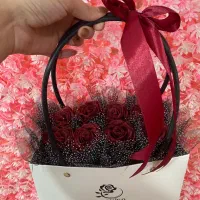 فلاوربگ زیبامون بااحترام ۵۳۰تومن