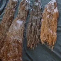 خریدموباقیمت بالا|خدمات آرایشگری و زیبایی|دورود, |دیوار