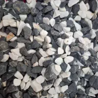 آکواریوم شیشه خم فروش فوری لوازم کامل|ماهی|شهرکرد, |دیوار