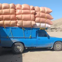 خرید و فروش کاه گندم