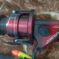 لنسر ماهگیری