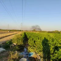 اجاره زمین کشاورزی در جاده سرچم