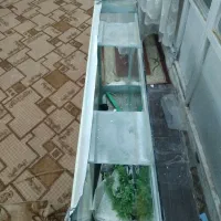 آکواریوم  فوروشی