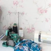 سردوز پروانه