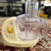 غذاساز مولینکس اصل فرانسه