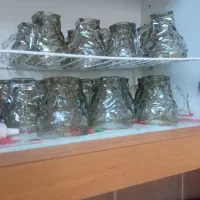 فنجان|ظروف سرو و پذیرایی|خرمدره, |دیوار