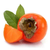 خرمالو ۲۰۰ کیلو