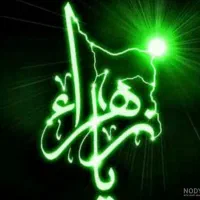 انجام قضای نماز و روزه توسط طلبه و خانواده سید