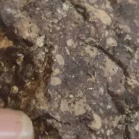 شهاب سنگ قمری شناسنامه دار و مستند شده شده|جواهرات|تهران, جنت‌آباد مرکزی|دیوار