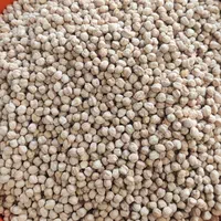 پخش عمده انواع نخود|عمده‌فروشی|کرج, عظیمیه|دیوار